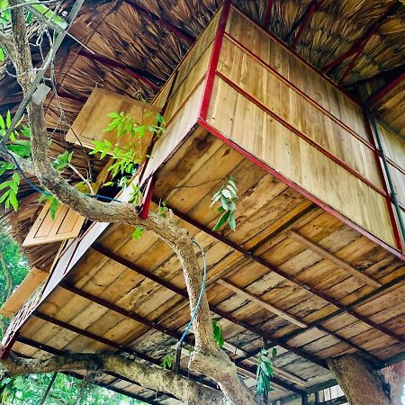 Muong Retreat- Nghi Duong Xanh Trong Bao Tang Van Hoa Nghe Thuat,Hoa Binh Hotel Exterior foto